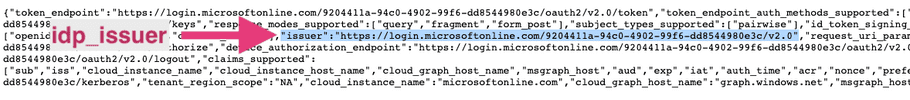 azure_sso_idp_issuer_3.png