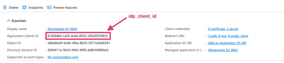 azure_sso_idp_client_id.png